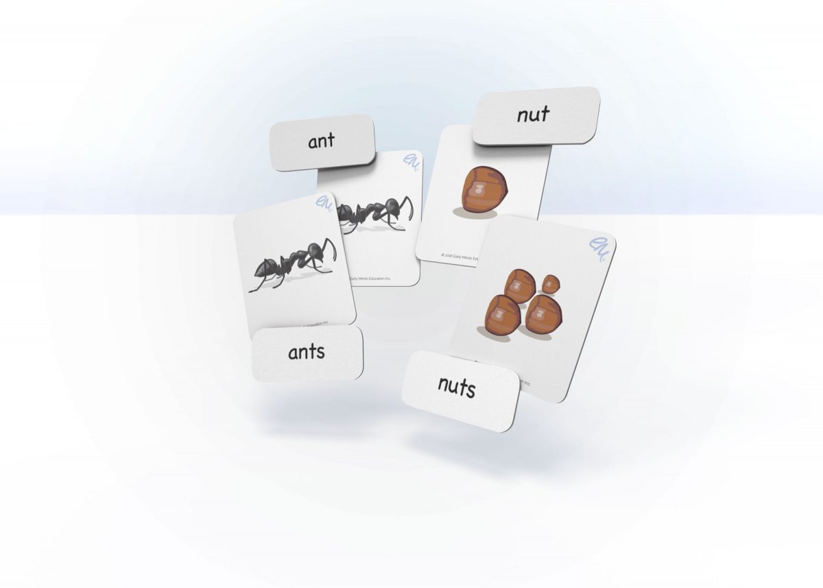 EarlyMinds sample image of Singular and plural cards