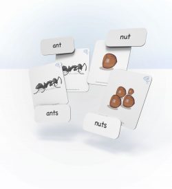 EarlyMinds sample image of Singular and plural cards