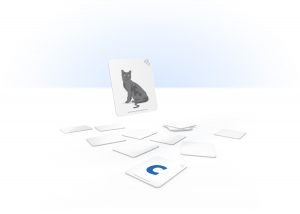 Image of Matching Game